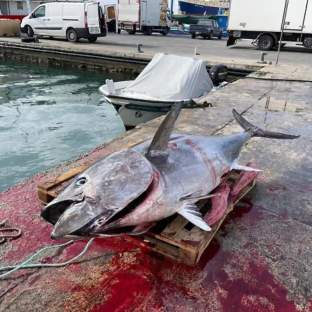 Ewa - 3-bedrooms Near Sliema - St Julians Seafront アパート *